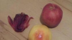 Как сделать домашнее пюре из персика – все секреты приготовления персикового пюре